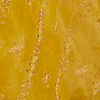 Light Yellow Embroidered Saree with Sequins